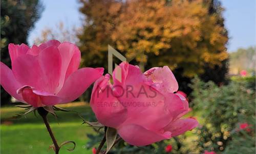 CASA SINGOLA CON AMPIO GIARDINO