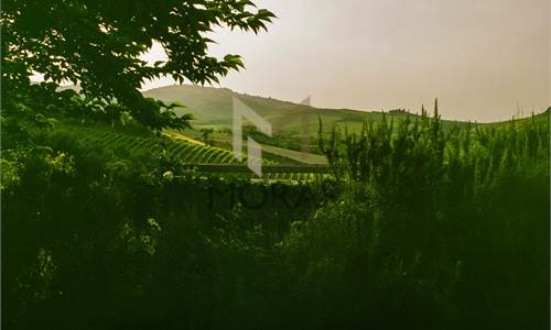 CASA composta da due appartamenti 