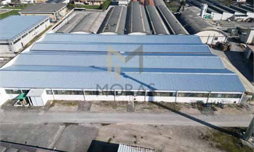 CAPANNONE A REDDITO (8%)