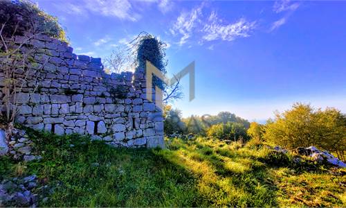 Ampia Tenuta con Due Rustici e Vista Panoramica